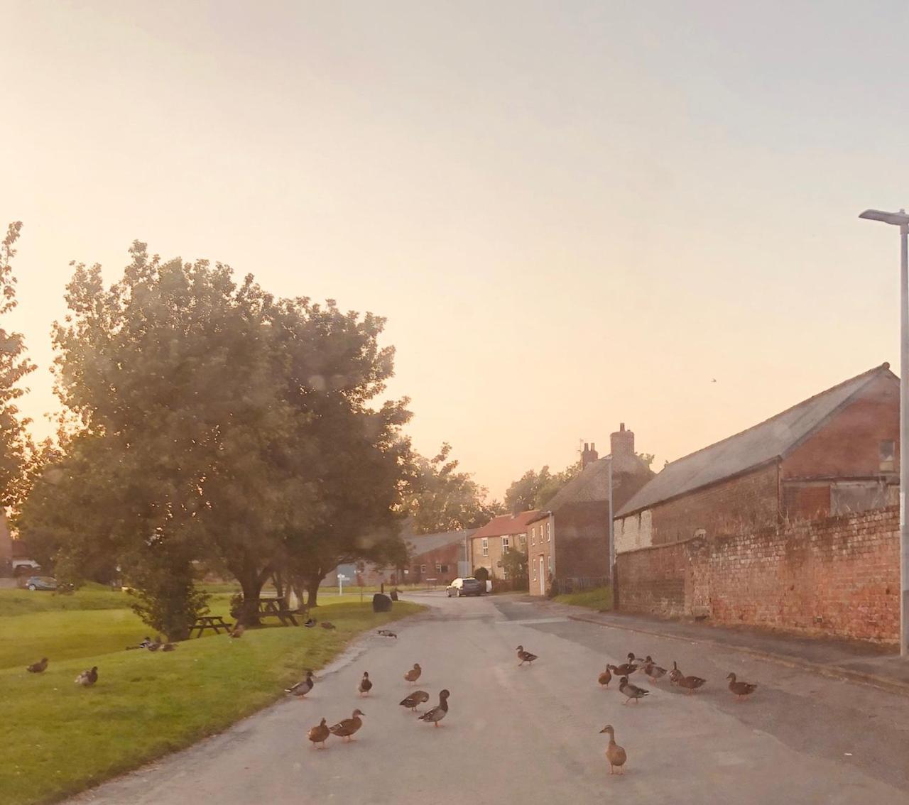Village Barn Conversion Near ยอร์ค ภายนอก รูปภาพ